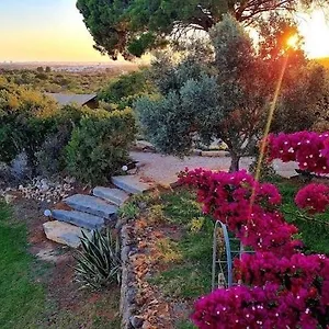Campismo de Luxo Oasis Camp Portugal, Lagoa (Algarve)